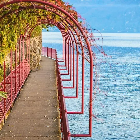 Comoincanto 公寓 *